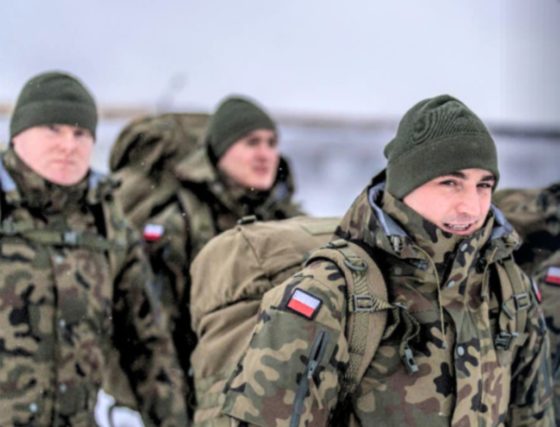 Dobrowolna zasadnicza służba wojskowa
